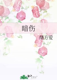 《暗伤》