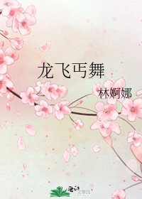 《龙飞丐舞》