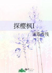 《探樱枫I》