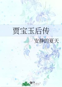 《賈寶玉後傳》