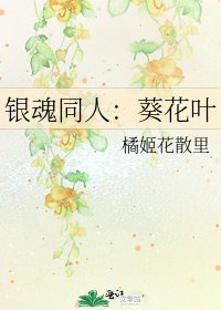 《银魂同人:葵花叶》