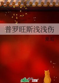 《普羅旺斯淺淺傷》