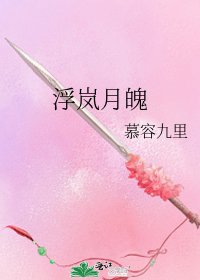 《浮岚月魄》