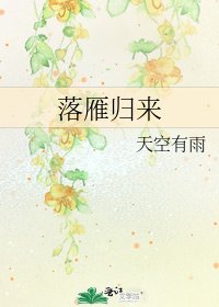 《落雁归来》