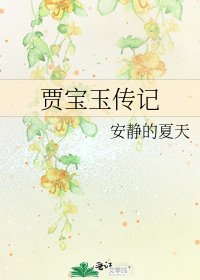 《賈寶玉傳記》