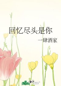 《回忆尽头是你》