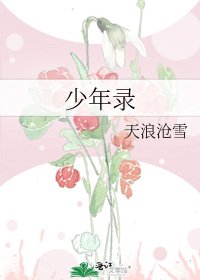 《少年录》
