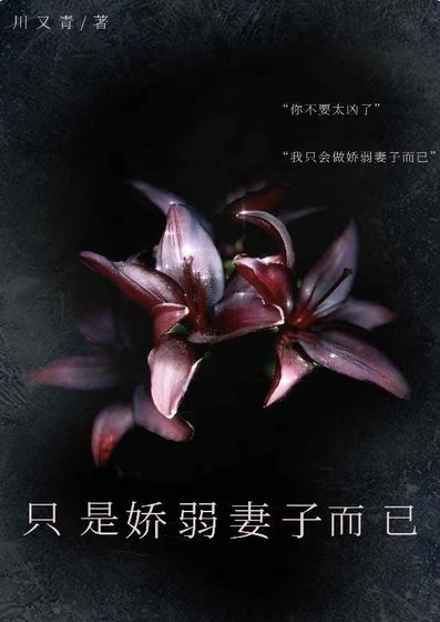 只是嬌弱妻子而已