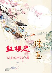 (BL/红楼同人)红楼之珠玉
