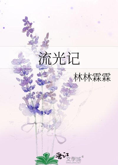 《流光记》