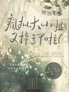 疯批大小 姐被团宠后,又掉马甲啦