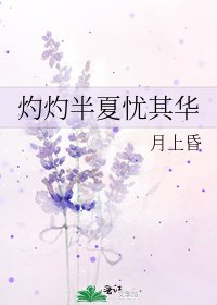 《灼灼半夏忧其华》