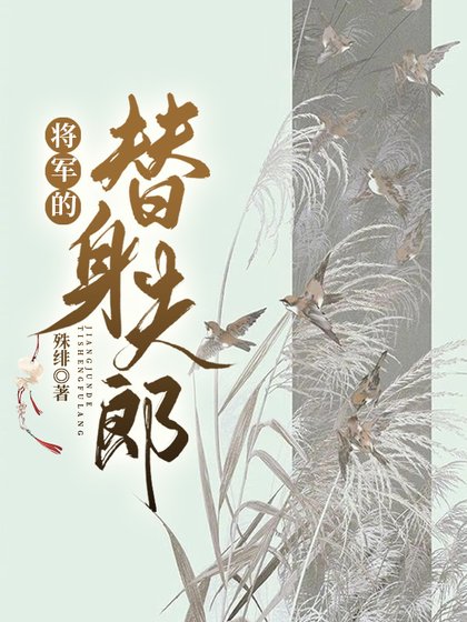 《将军的替嫁夫郎(女尊)》