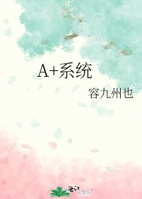 《A+系统》