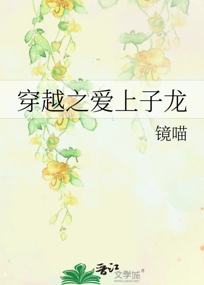 《穿越之爱上子龙》