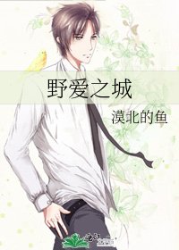 《野爱之城》