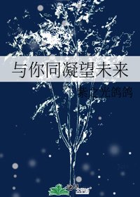 《与你同凝望未来》