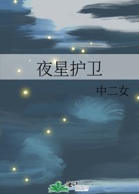 《夜星護衞》