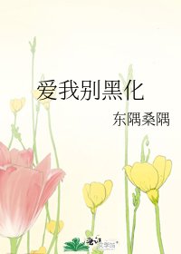 《爱我别黑化》