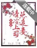 《分手吼,清冷上司總追妻》