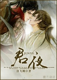 《君夜(一只小受和一窝小攻的故事)》