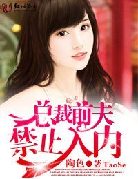 《总裁前夫,禁止入内》